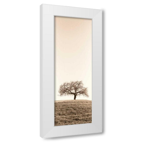 Lone Oak Tree White Modern Wood Framed Art Print by Blaustein, Alan