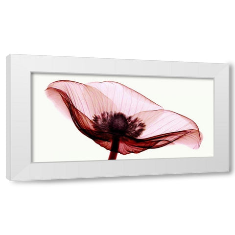 Anemone I White Modern Wood Framed Art Print by Coop, Robert