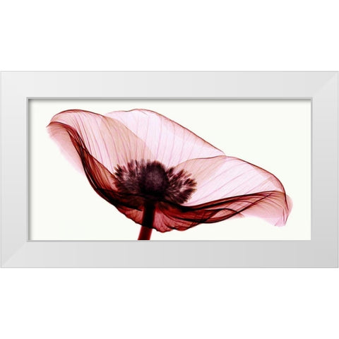Anemone I White Modern Wood Framed Art Print by Coop, Robert