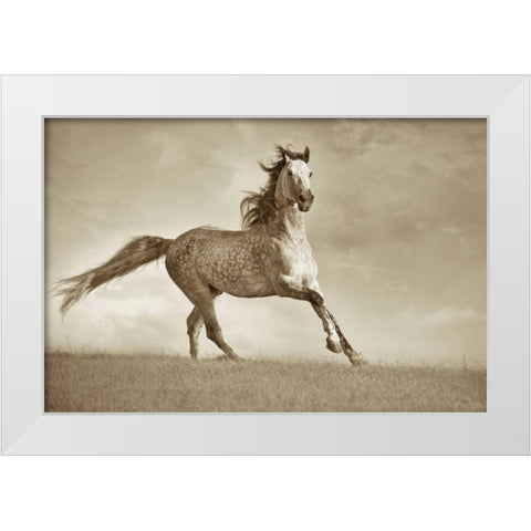 Like The Wind White Modern Wood Framed Art Print by Dearing, Lisa