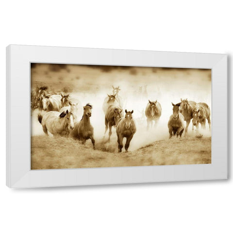 San Cristobol Horses White Modern Wood Framed Art Print by Dearing, Lisa