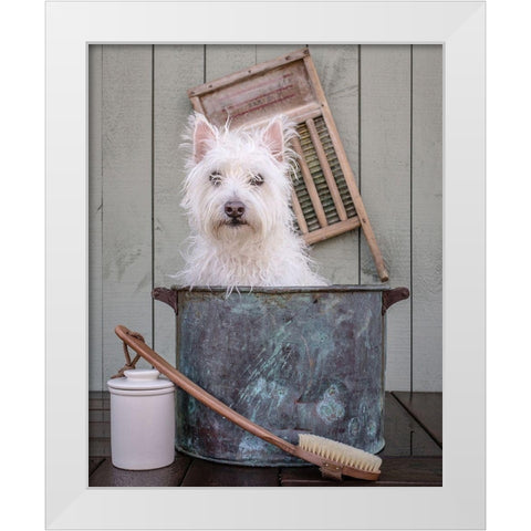 Washing the Dog White Modern Wood Framed Art Print by Fielding, Edward M.