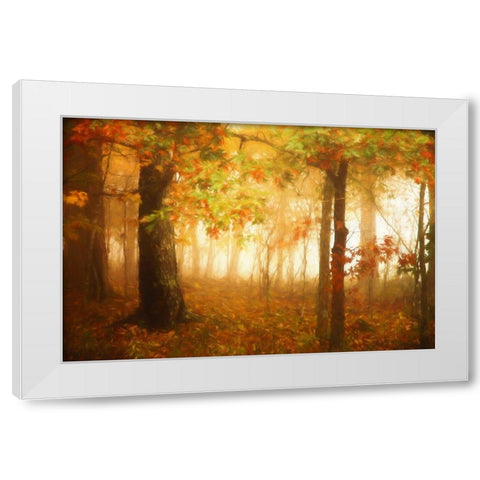 Autumns Rainbow White Modern Wood Framed Art Print by Grippo-Pike, Carrie Ann