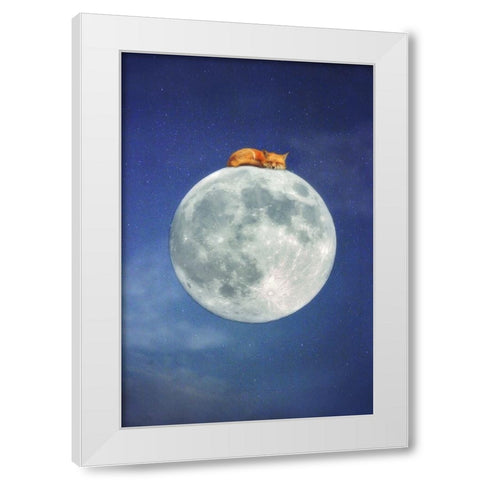 Fox Sleeping on Moon White Modern Wood Framed Art Print by Grippo-Pike, Carrie Ann