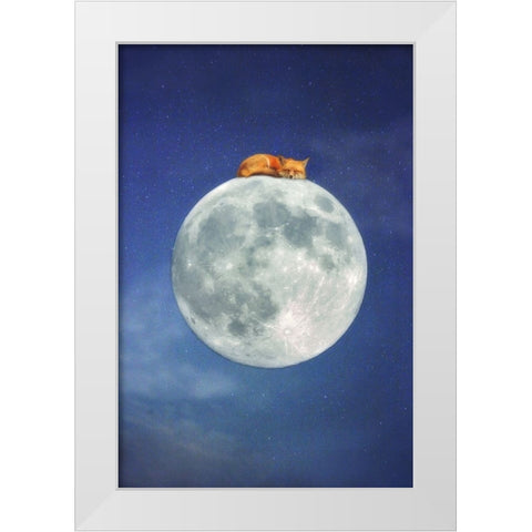 Fox Sleeping on Moon White Modern Wood Framed Art Print by Grippo-Pike, Carrie Ann