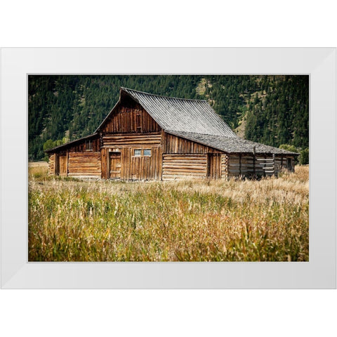 Teton Barn White Modern Wood Framed Art Print by Oldford, Tim