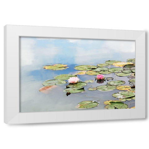 MonetÃÂs Garden White Modern Wood Framed Art Print by Ryan, Brooke T.