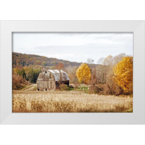 Barn And Beehives White Modern Wood Framed Art Print by Ryan, Brooke T.