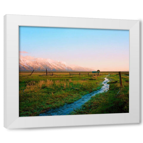 Home On The Range White Modern Wood Framed Art Print by Rapson, Sol