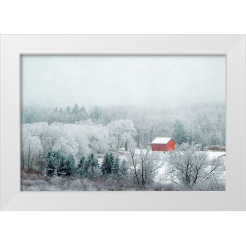 Red Barn White Modern Wood Framed Art Print by Ryan, Brooke T.