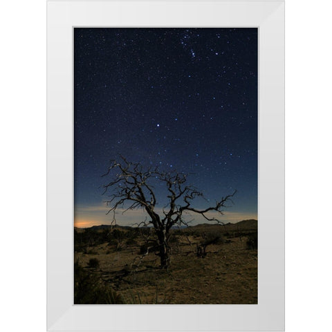 Mohave at Night No. 1 White Modern Wood Framed Art Print by Severn, Shawn/Corinne