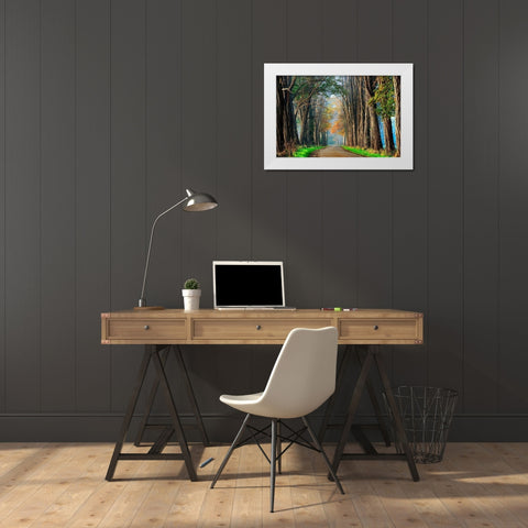 Acacias in Autumn White Modern Wood Framed Art Print by Van de Goor, Lars
