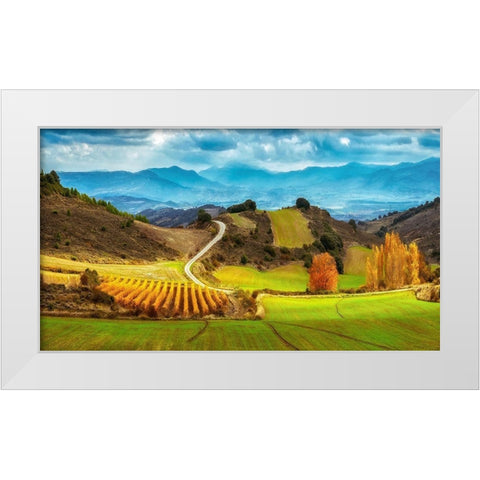 Navarra White Modern Wood Framed Art Print by Van de Goor, Lars