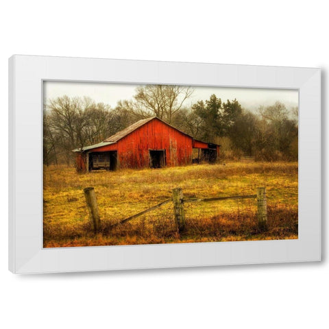 In the Country White Modern Wood Framed Art Print by Amos, Andy