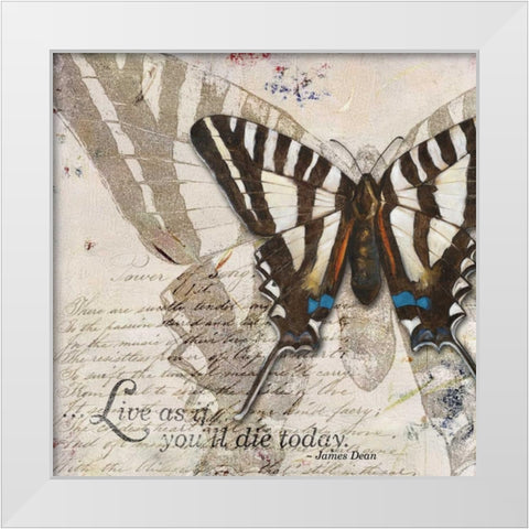 Living your Dreams II White Modern Wood Framed Art Print by Pinto, Patricia