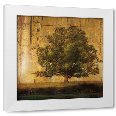 Aged Tree I White Modern Wood Framed Art Print by Pinto, Patricia