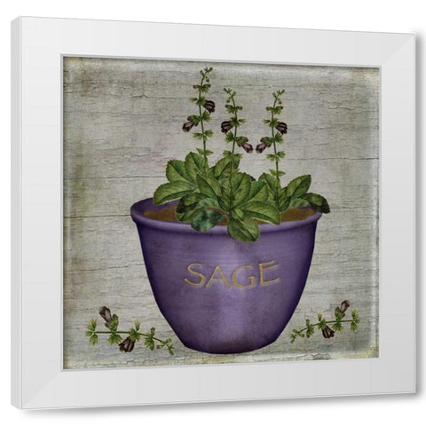 Herb Sage White Modern Wood Framed Art Print by Albert, Beth