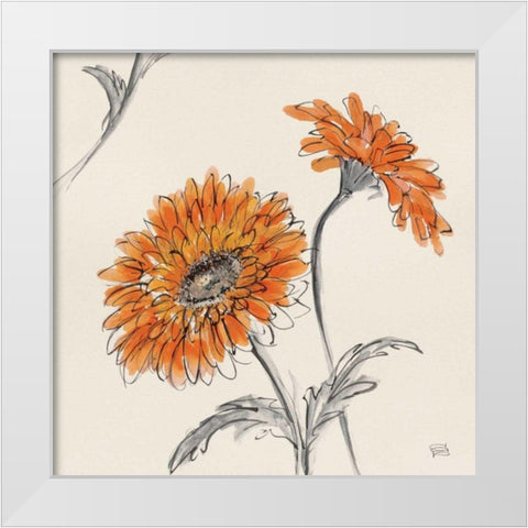 Orange Gerbera II White Modern Wood Framed Art Print by Paschke, Chris