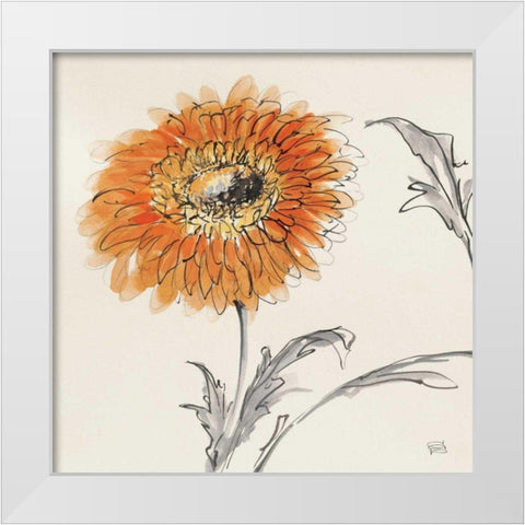 Orange Gerbera III White Modern Wood Framed Art Print by Paschke, Chris