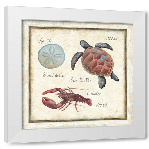 Oceanography II White Modern Wood Framed Art Print by Brissonnet, Daphne