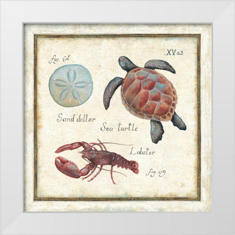 Oceanography II White Modern Wood Framed Art Print by Brissonnet, Daphne