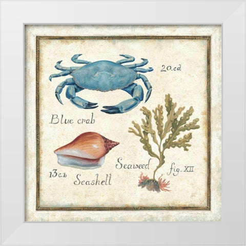 Oceanography IV White Modern Wood Framed Art Print by Brissonnet, Daphne