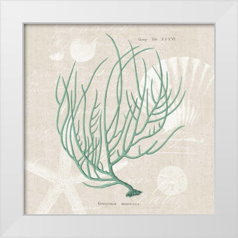 Gorgonia Miniacea White Modern Wood Framed Art Print by Wild Apple Portfolio