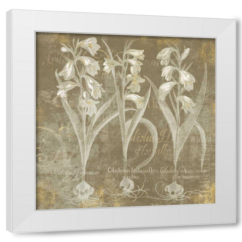 Flower Lines I White Modern Wood Framed Art Print by Schlabach, Sue