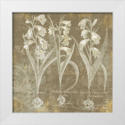 Flower Lines I White Modern Wood Framed Art Print by Schlabach, Sue