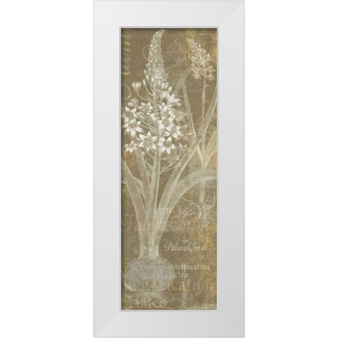 Flower Lines II White Modern Wood Framed Art Print by Schlabach, Sue