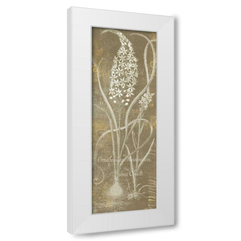 Flower Lines III White Modern Wood Framed Art Print by Schlabach, Sue