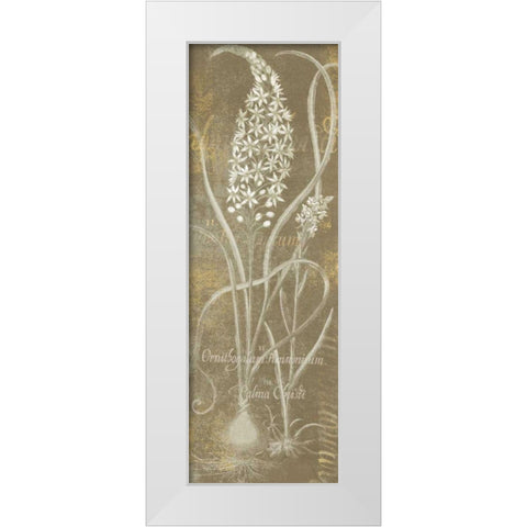 Flower Lines III White Modern Wood Framed Art Print by Schlabach, Sue