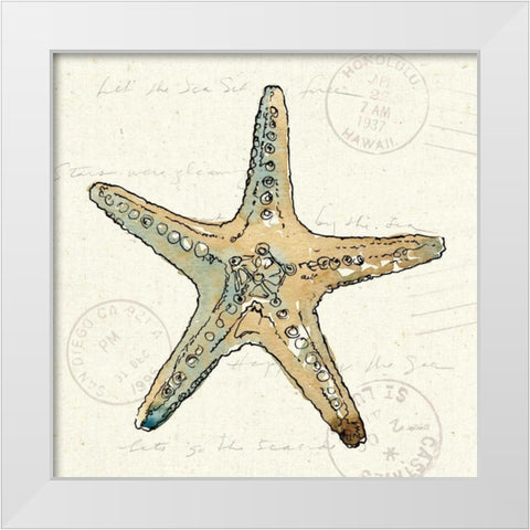 Coastal Breeze VIII White Modern Wood Framed Art Print by Tavoletti, Anne