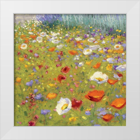 Champ de Fleur II White Modern Wood Framed Art Print by Novak, Shirley