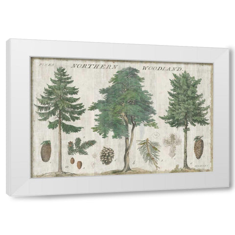 Woodland Chart I White Modern Wood Framed Art Print by Schlabach, Sue