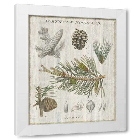 Woodland Chart III White Modern Wood Framed Art Print by Schlabach, Sue