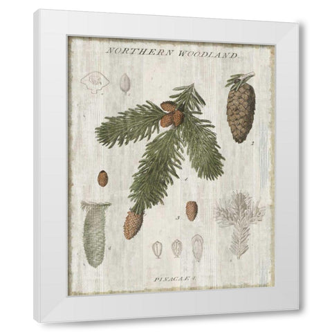 Woodland Chart V White Modern Wood Framed Art Print by Schlabach, Sue