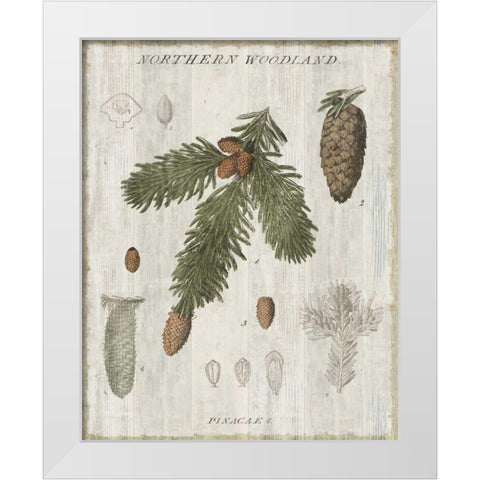 Woodland Chart V White Modern Wood Framed Art Print by Schlabach, Sue