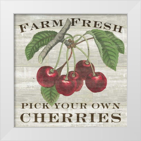 Farm Fresh Cherries White Modern Wood Framed Art Print by Schlabach, Sue