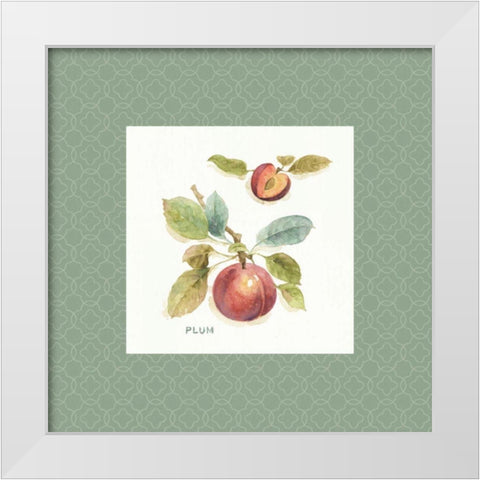 Orchard Bloom IV Border White Modern Wood Framed Art Print by Audit, Lisa