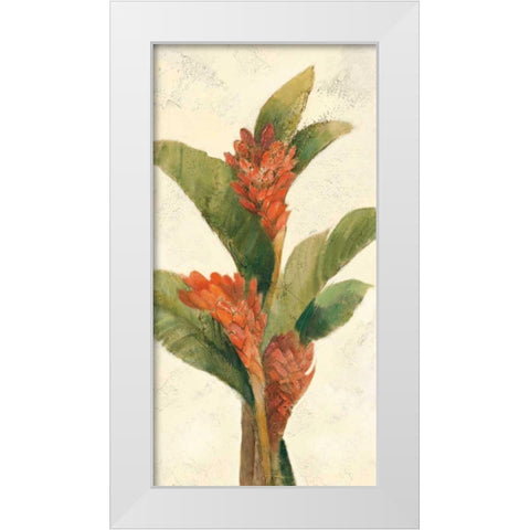 Ginger Blossom on White White Modern Wood Framed Art Print by Hristova, Albena