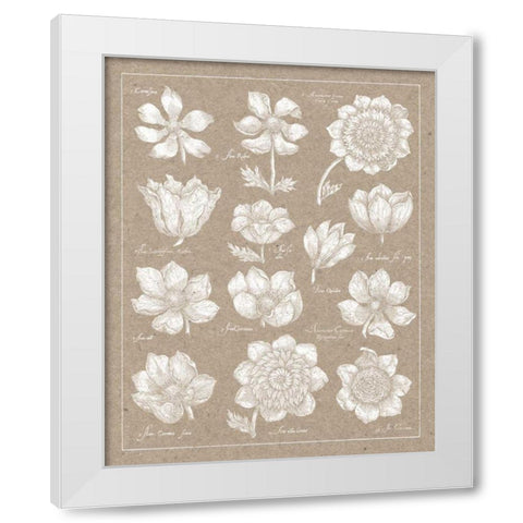 Anemone Plate I White Modern Wood Framed Art Print by Wild Apple Portfolio