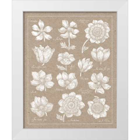 Anemone Plate I White Modern Wood Framed Art Print by Wild Apple Portfolio
