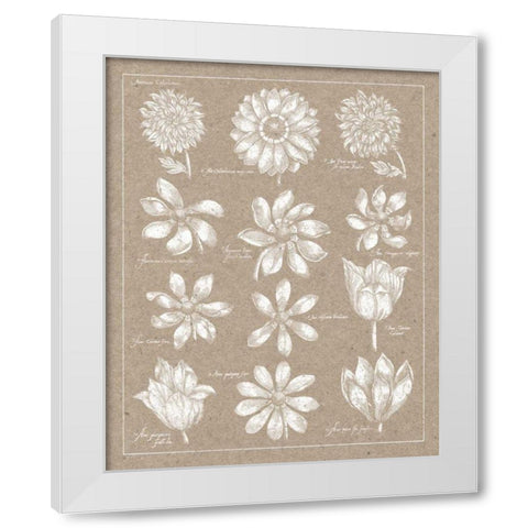 Anemone Plate II White Modern Wood Framed Art Print by Wild Apple Portfolio