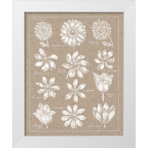 Anemone Plate II White Modern Wood Framed Art Print by Wild Apple Portfolio