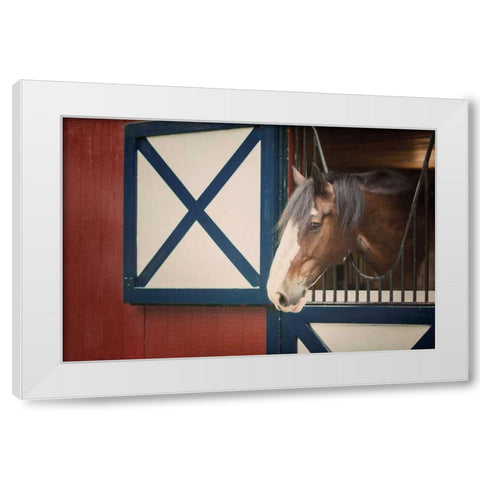 Patriotic Pony I White Modern Wood Framed Art Print by Urquhart, Elizabeth