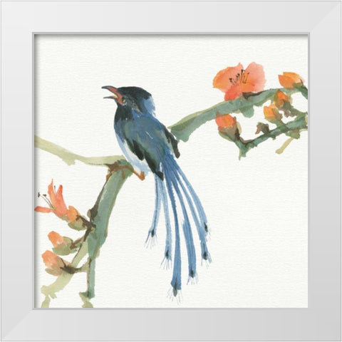 Formosan Blue Magpie White Modern Wood Framed Art Print by Paschke, Chris