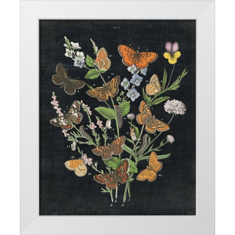 Butterfly Bouquet on Black I White Modern Wood Framed Art Print by Wild Apple Portfolio