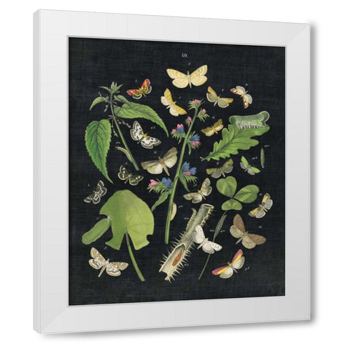 Butterfly Bouquet on Black III White Modern Wood Framed Art Print by Wild Apple Portfolio