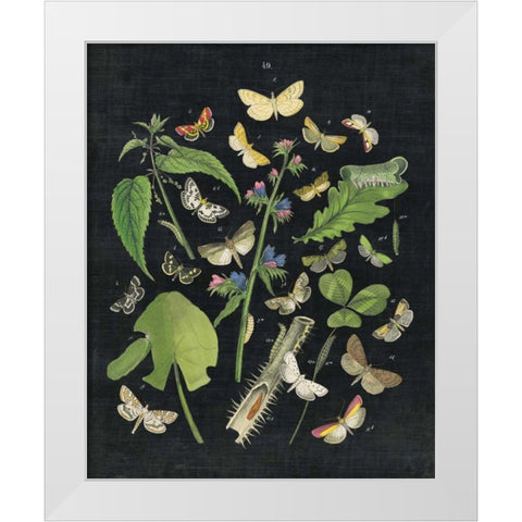 Butterfly Bouquet on Black III White Modern Wood Framed Art Print by Wild Apple Portfolio